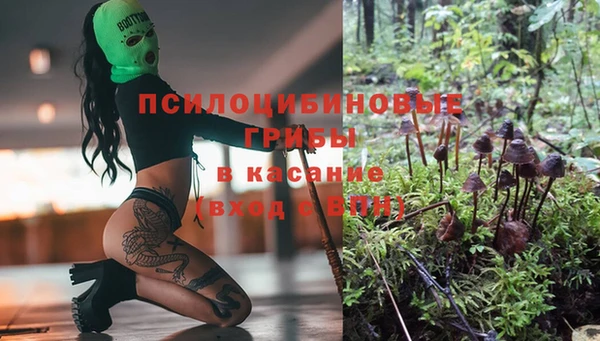 таблы Богородск