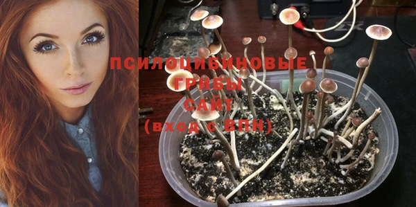 мдма Богданович