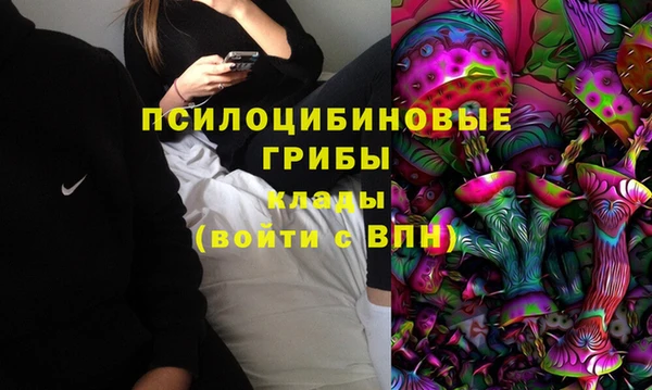 таблы Богородск