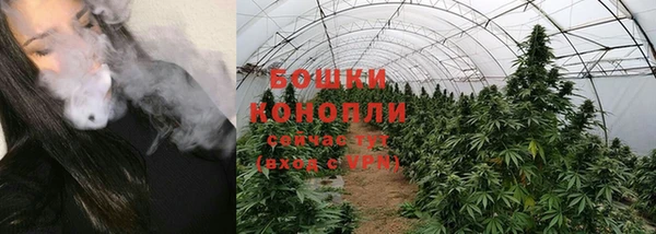 твердый Богородицк