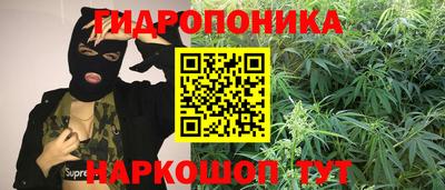 spice Гагарин