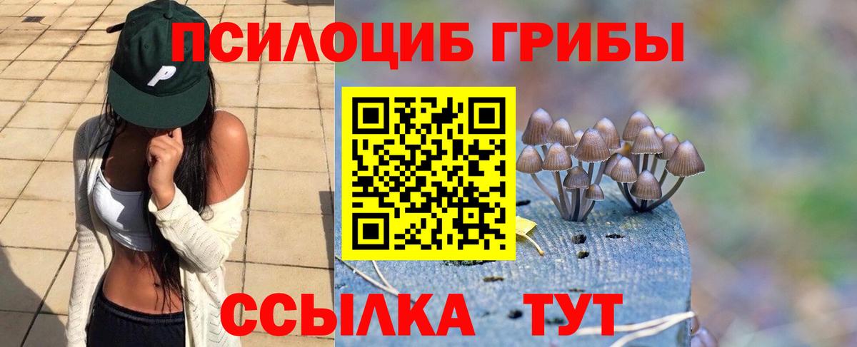 Галлюциногенные грибы Psilocybine cubensis  Вход с VPN  Наро-Фоминск  Галлюциногенные грибы MAGIC MUSHROOMS 